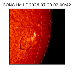 gong - 2026-07-23T02:00:42