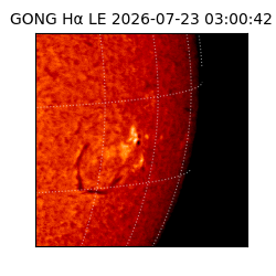 gong - 2026-07-23T03:00:42