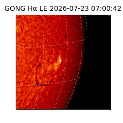 gong - 2026-07-23T07:00:42
