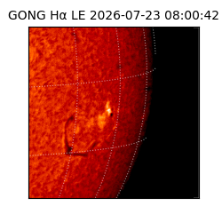 gong - 2026-07-23T08:00:42