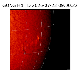 gong - 2026-07-23T09:00:22