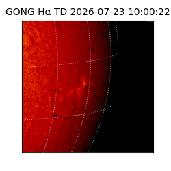gong - 2026-07-23T10:00:22