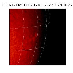 gong - 2026-07-23T12:00:22