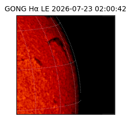 gong - 2026-07-23T02:00:42