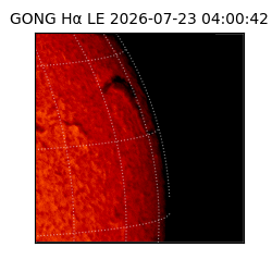 gong - 2026-07-23T04:00:42