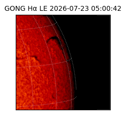 gong - 2026-07-23T05:00:42