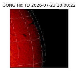 gong - 2026-07-23T10:00:22