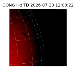 gong - 2026-07-23T12:00:22