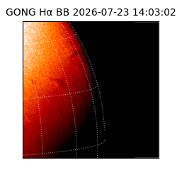 gong - 2026-07-23T14:03:02