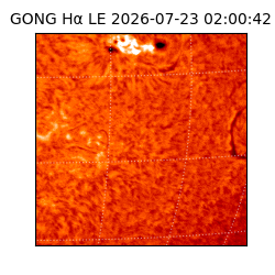 gong - 2026-07-23T02:00:42