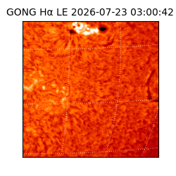 gong - 2026-07-23T03:00:42