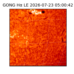 gong - 2026-07-23T05:00:42