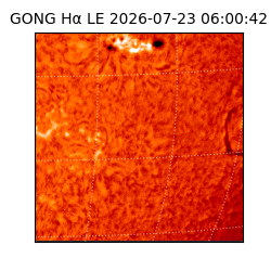 gong - 2026-07-23T06:00:42