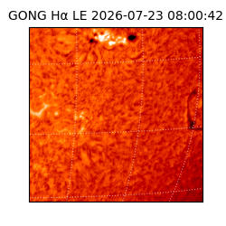 gong - 2026-07-23T08:00:42