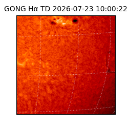 gong - 2026-07-23T10:00:22