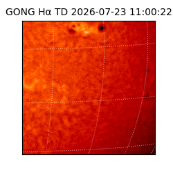 gong - 2026-07-23T11:00:22