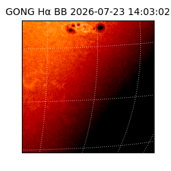 gong - 2026-07-23T14:03:02