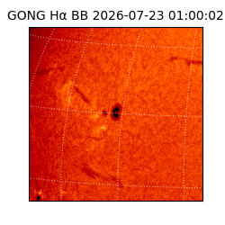 gong - 2026-07-23T01:00:02