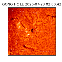 gong - 2026-07-23T02:00:42