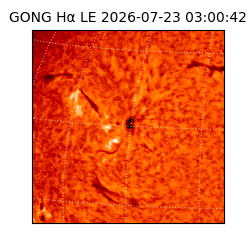 gong - 2026-07-23T03:00:42