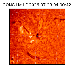 gong - 2026-07-23T04:00:42