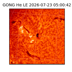 gong - 2026-07-23T05:00:42