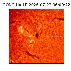 gong - 2026-07-23T06:00:42