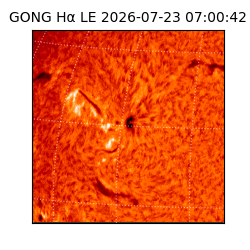 gong - 2026-07-23T07:00:42