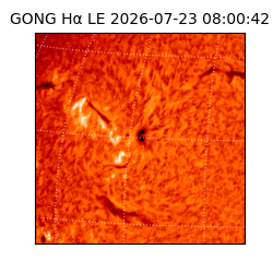 gong - 2026-07-23T08:00:42