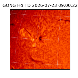 gong - 2026-07-23T09:00:22