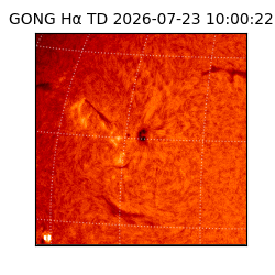 gong - 2026-07-23T10:00:22