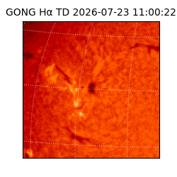 gong - 2026-07-23T11:00:22