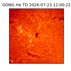 gong - 2026-07-23T12:00:22