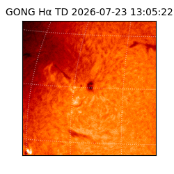 gong - 2026-07-23T13:05:22