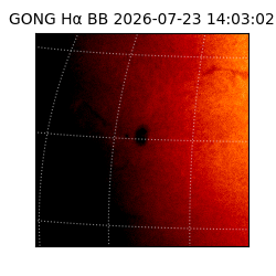 gong - 2026-07-23T14:03:02