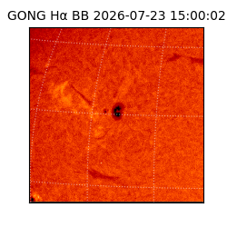 gong - 2026-07-23T15:00:02