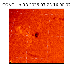 gong - 2026-07-23T16:00:02