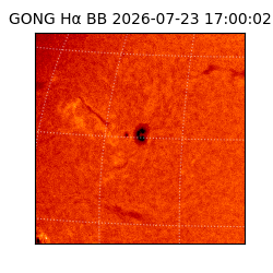 gong - 2026-07-23T17:00:02