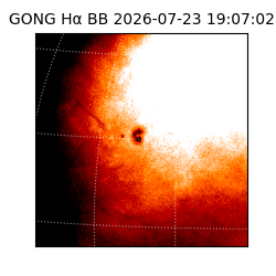 gong - 2026-07-23T19:07:02
