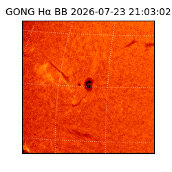 gong - 2026-07-23T21:03:02