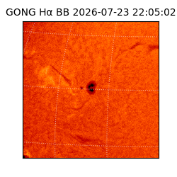 gong - 2026-07-23T22:05:02