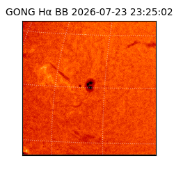 gong - 2026-07-23T23:25:02