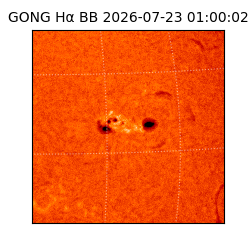gong - 2026-07-23T01:00:02