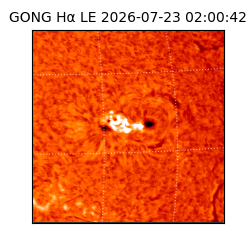 gong - 2026-07-23T02:00:42