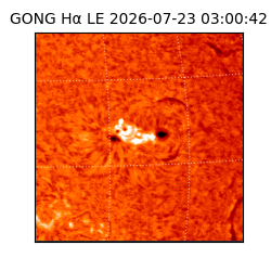 gong - 2026-07-23T03:00:42