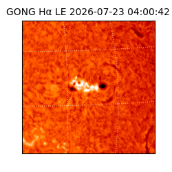 gong - 2026-07-23T04:00:42