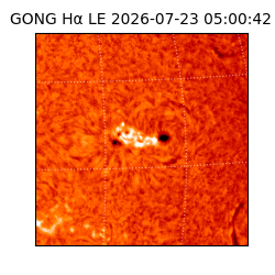 gong - 2026-07-23T05:00:42