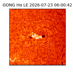 gong - 2026-07-23T06:00:42