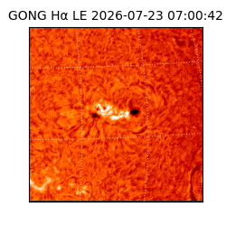 gong - 2026-07-23T07:00:42