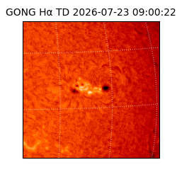 gong - 2026-07-23T09:00:22